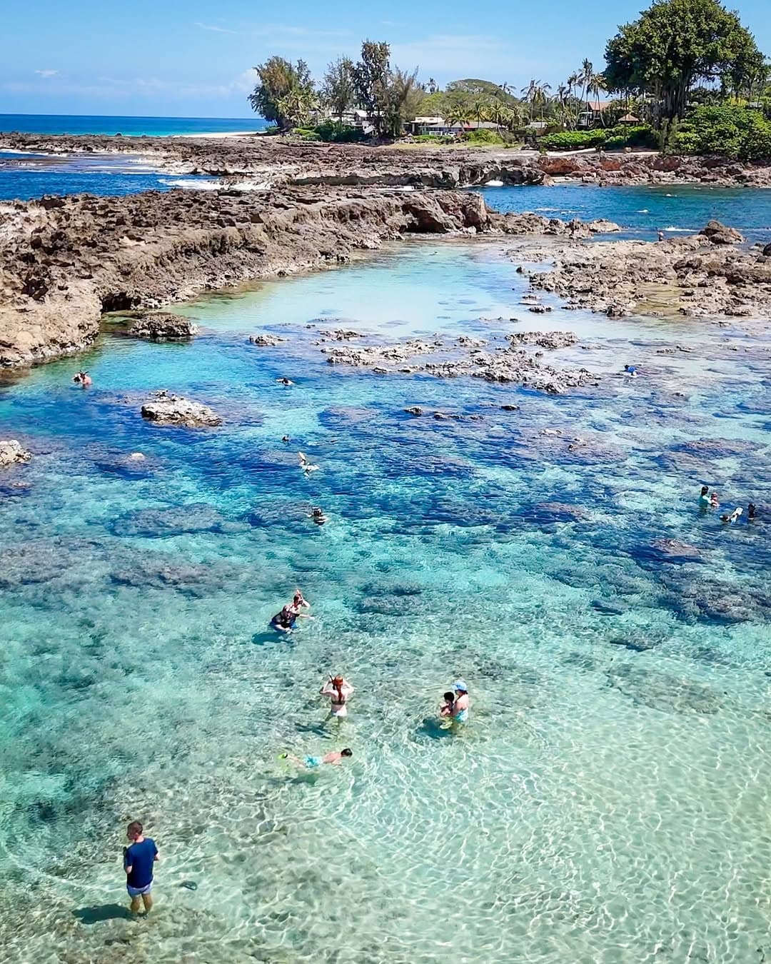 Taste, Tide, and Lava: North Shore Oʻahu Adventure Tour