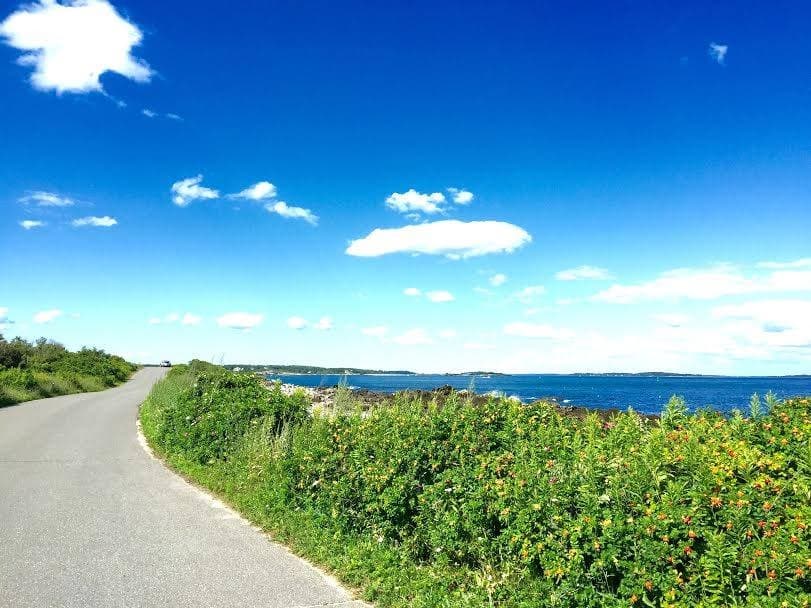 Curving coastal road on Peaks Island for cart and bike rides