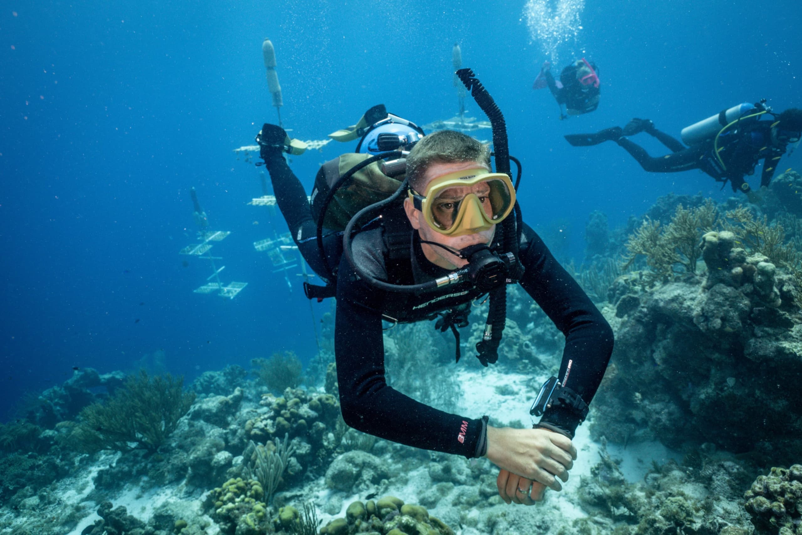 Shoal Bay SDI Open Water Scuba Certification: 3-Day Beginner Course with Squids Dive Co photo 4