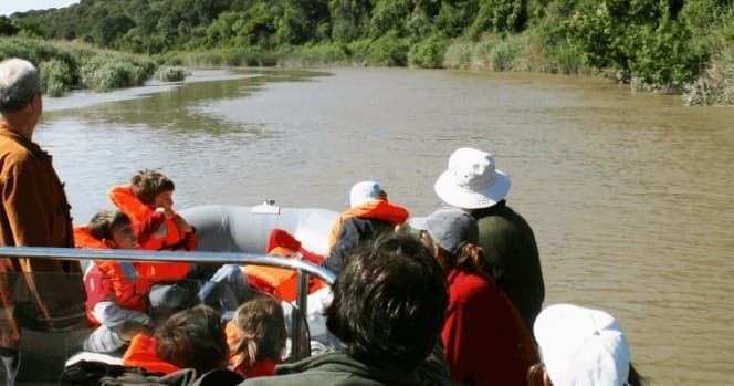 Guided riverboat trip with passengers observing wildlife along muddy river