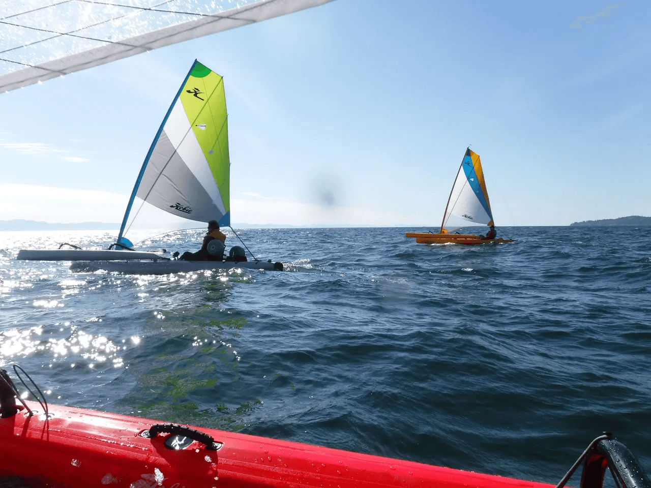Small sailboats racing offshore seen from kayak on open sea