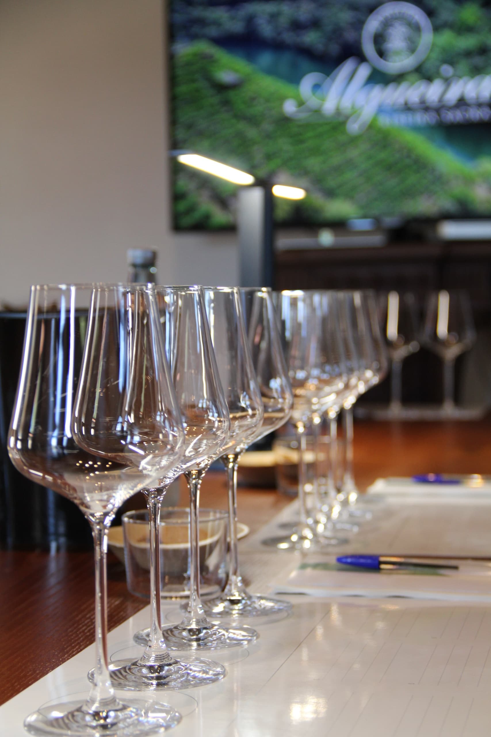 Ribeira Sacra Wine Tasting & Lunch at O Castelo — Cata de Vinos y Comida in Doade