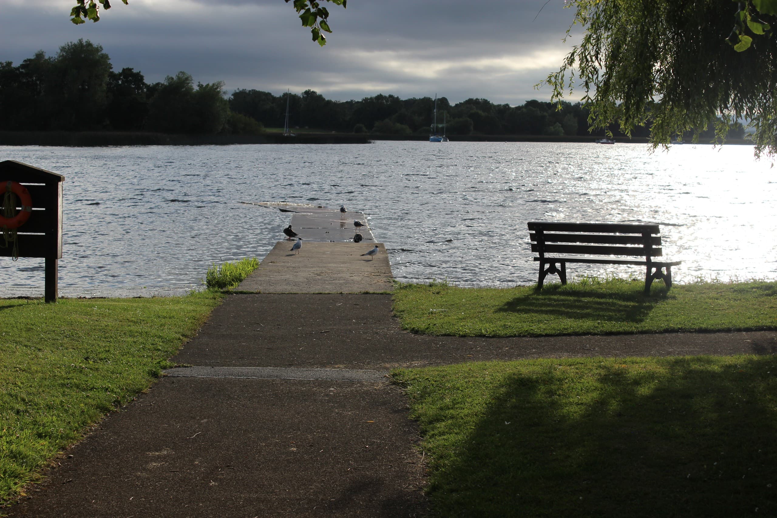 Nenagh to Dromineer Short eBike Tour — Lough Derg Shoreline in Two Hours photo 4