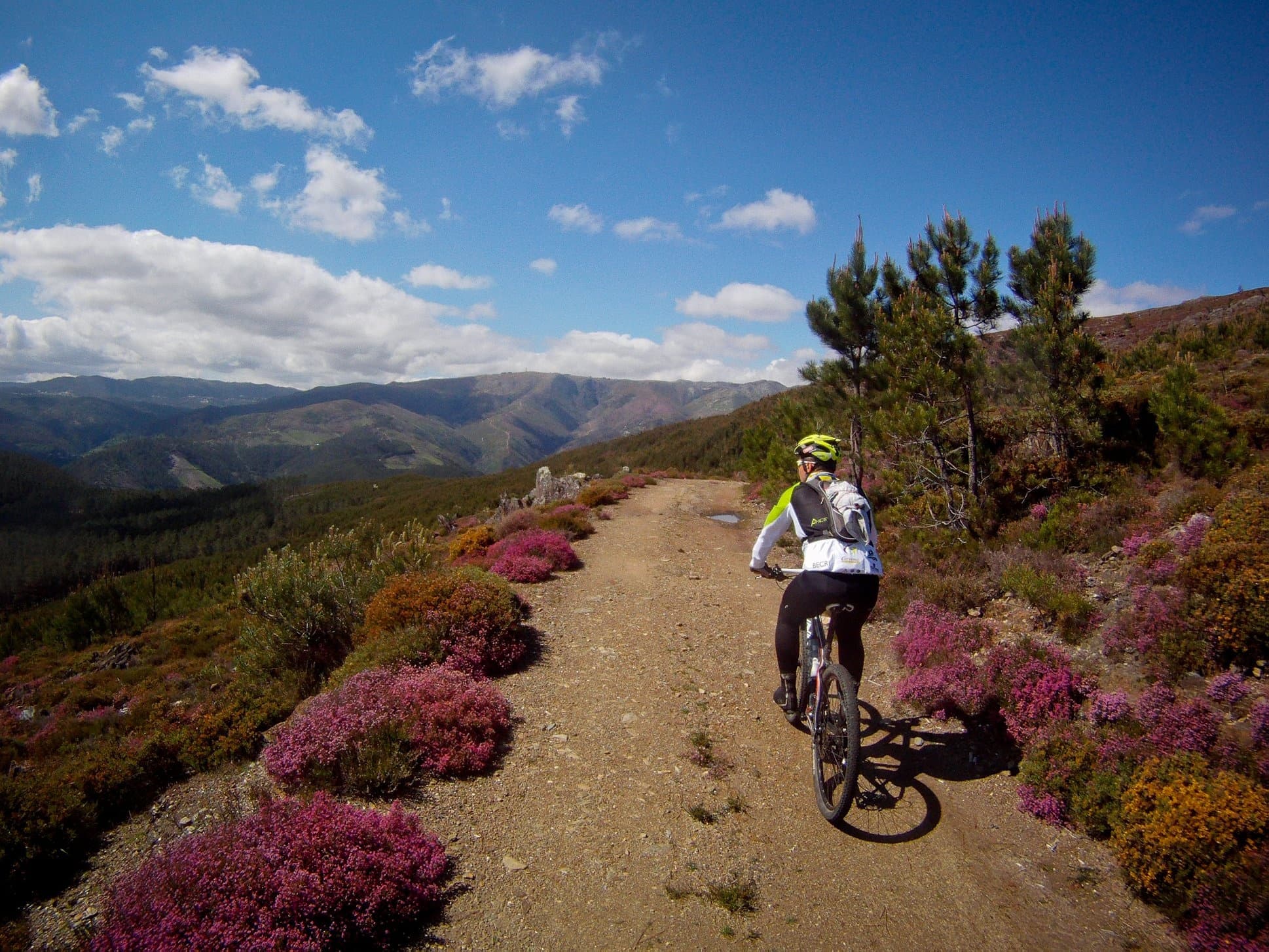 BTTour Cycling Adventures with NaTour Way in Arouca