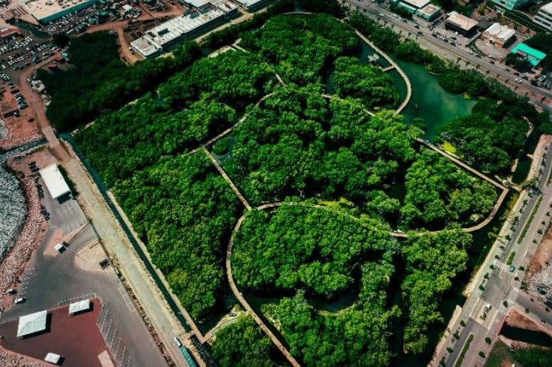 Aerial view of urban coastal park with dense green canopy