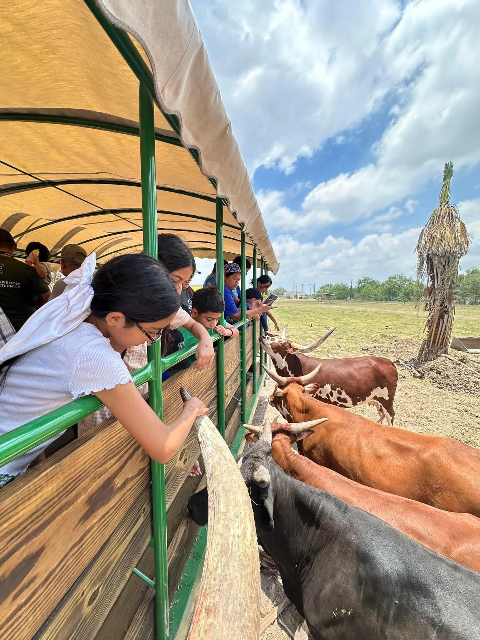 Group Safari Adventure at Fragile Planet in Los Fresnos