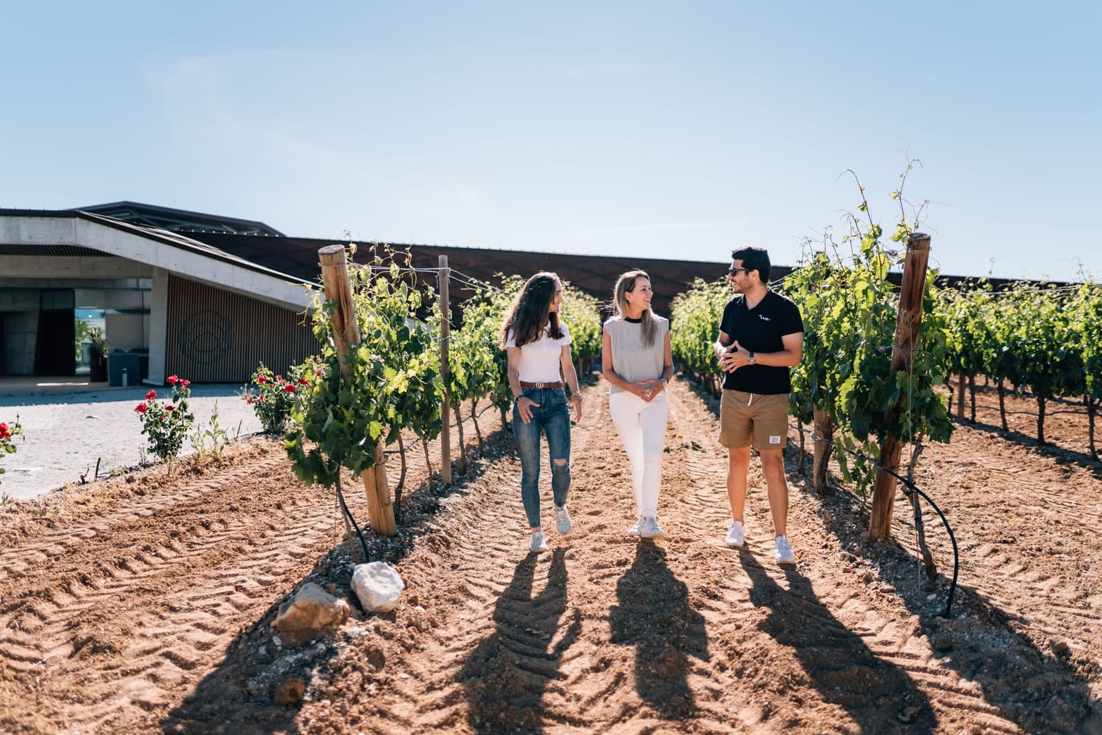 Ribera del Duero Wine Journeys with World Experience