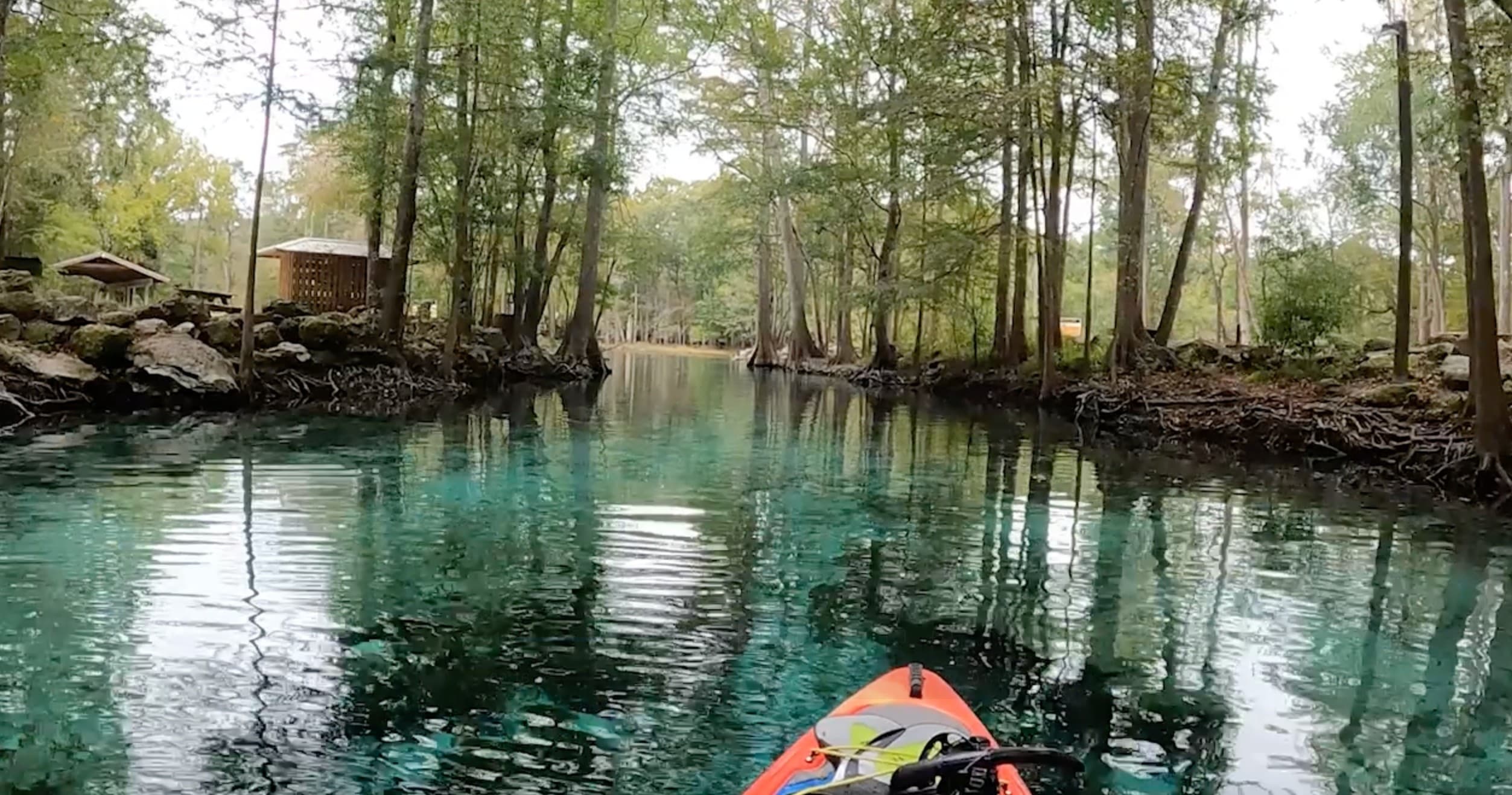 Paddle 8 Springs in 8 Miles: Santa Fe River Downriver from Poe Springs photo 2