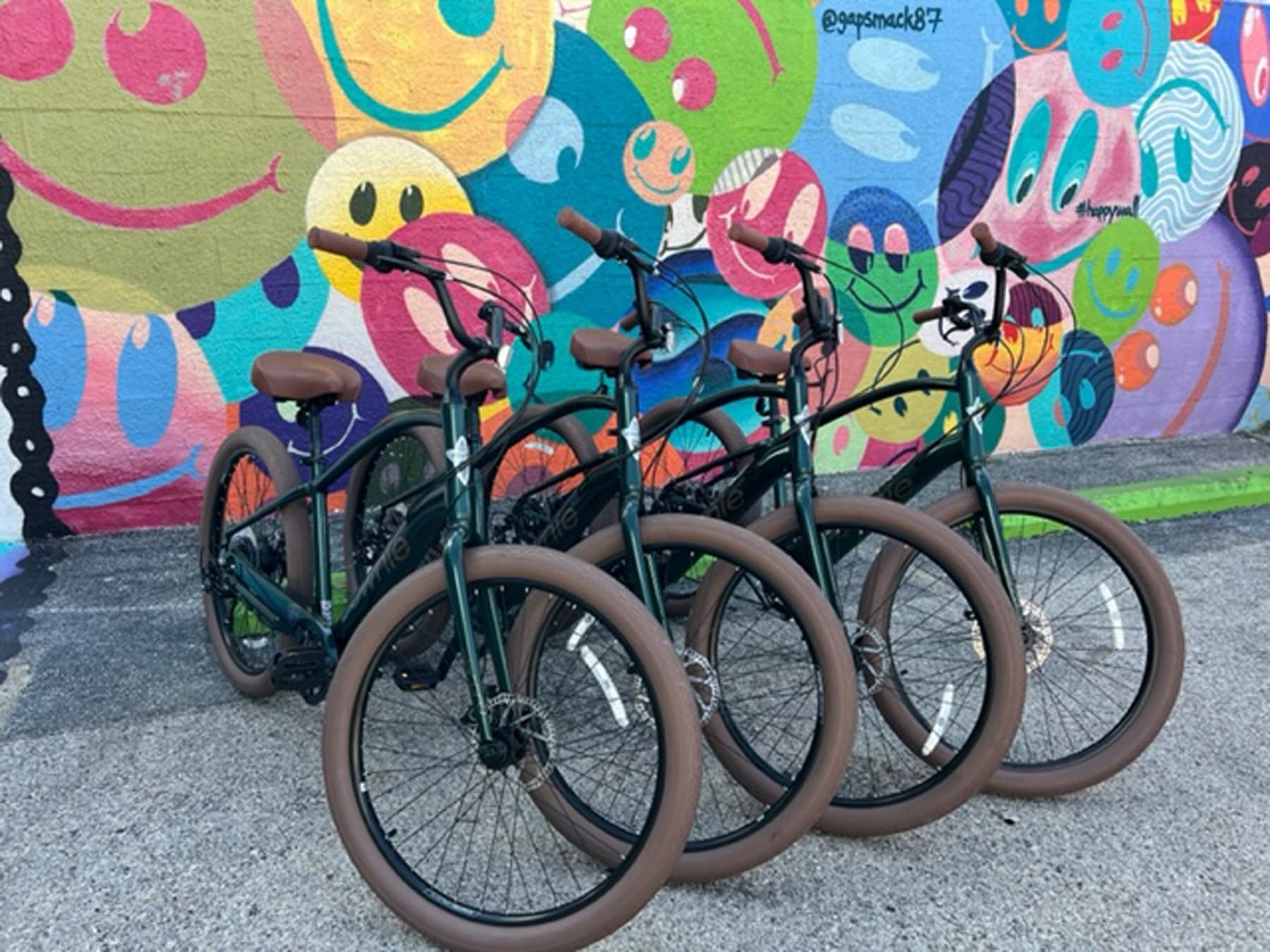 Electric Bike Rental Adventure in Galveston, TX