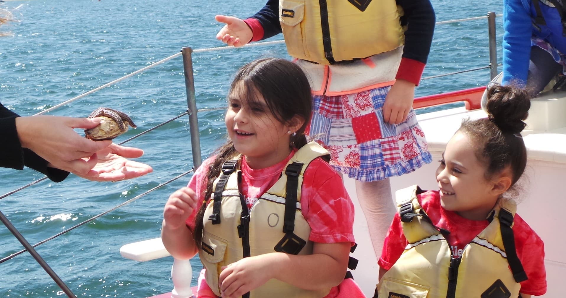 Wildlife & Ecology Cruises by The WaterFront Center in Oyster Bay