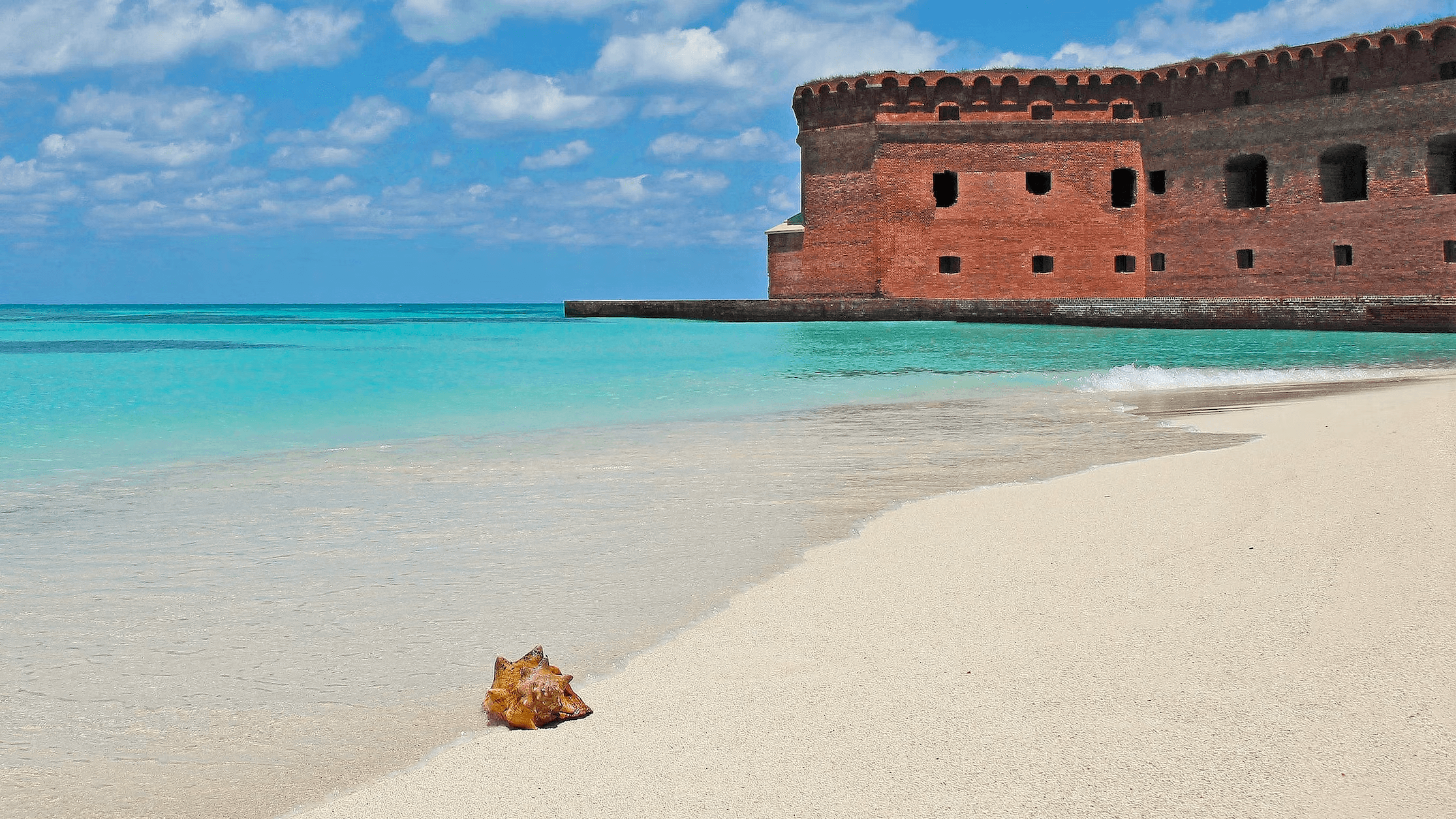Fort Jefferson Adventure with Above & Below Adventures in Cudjoe Key
