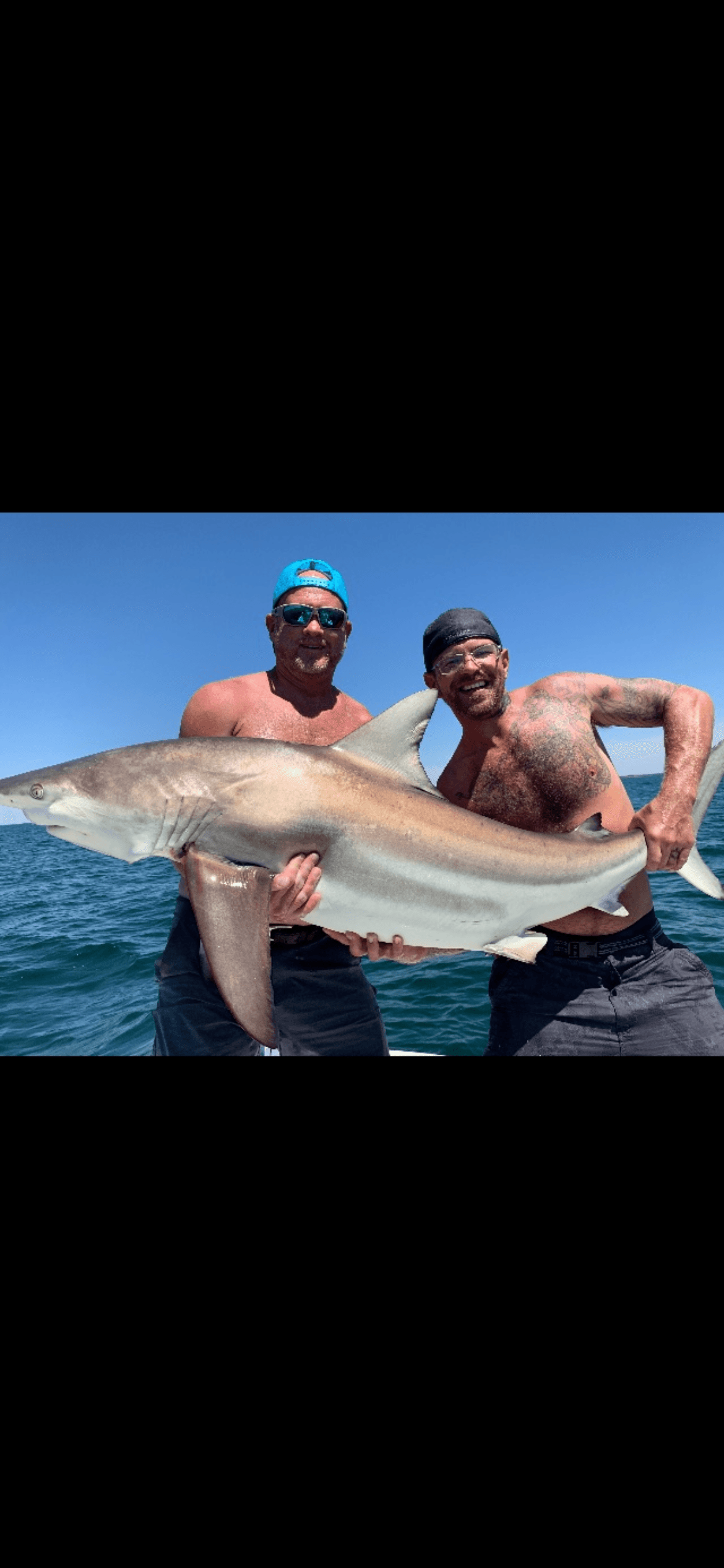 Inshore Shark Fishing with Fish Tamer Charters in Ruskin