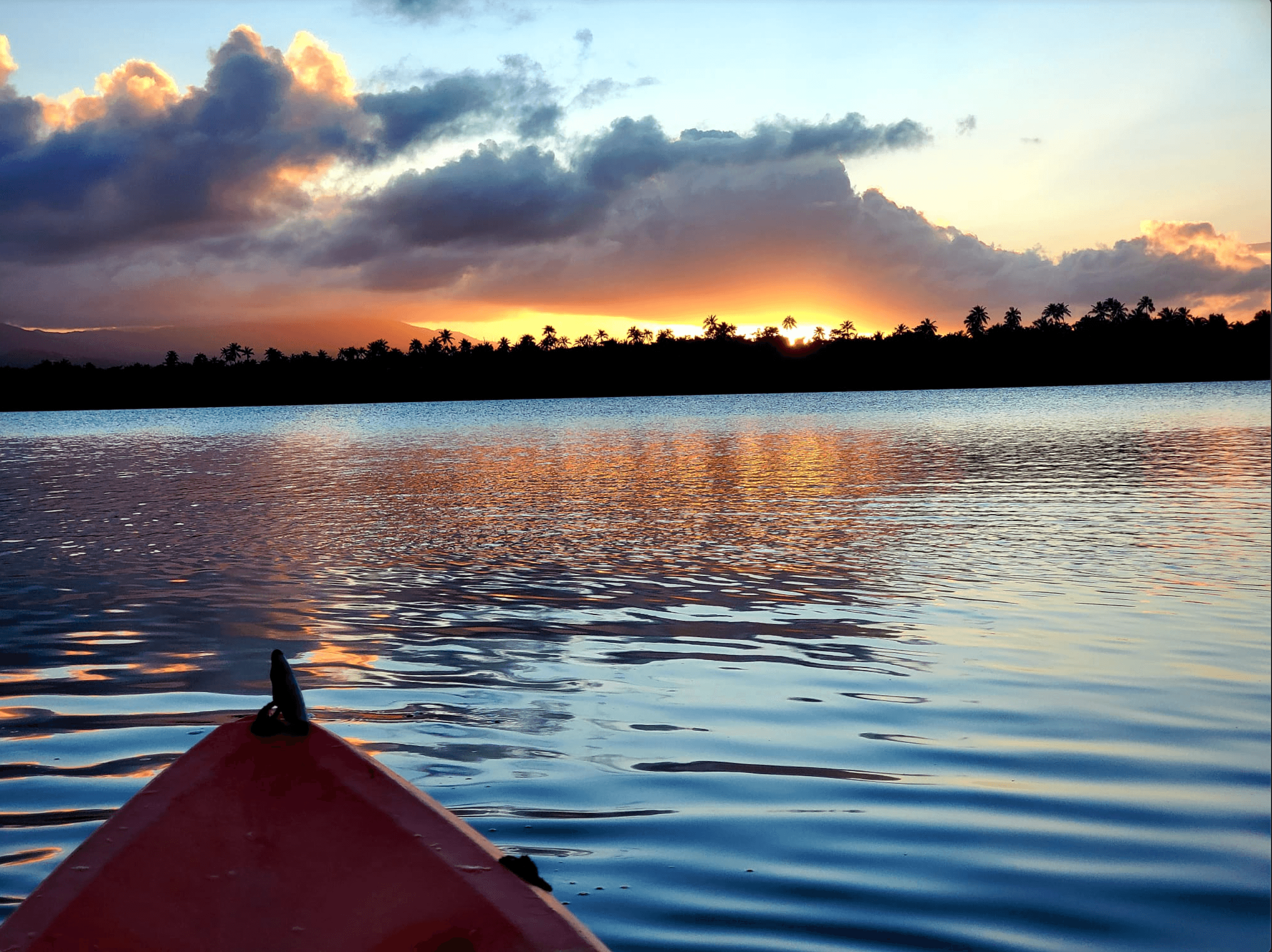 Natural One Laguna Grande Bio Bay Kayaking in Fajardo