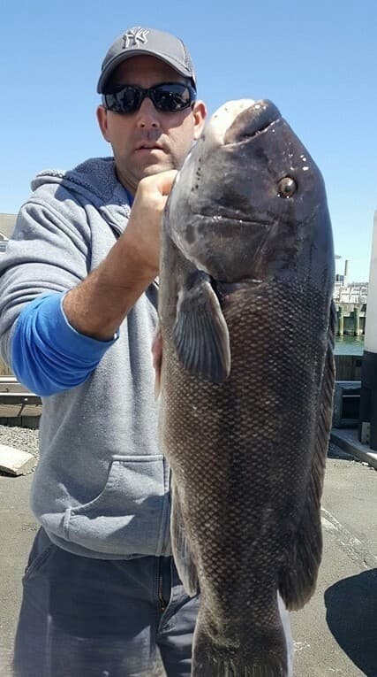 Four-Hour Private Fishing Charter on the Quinnipiac River | Fish Finder Charters photo 1