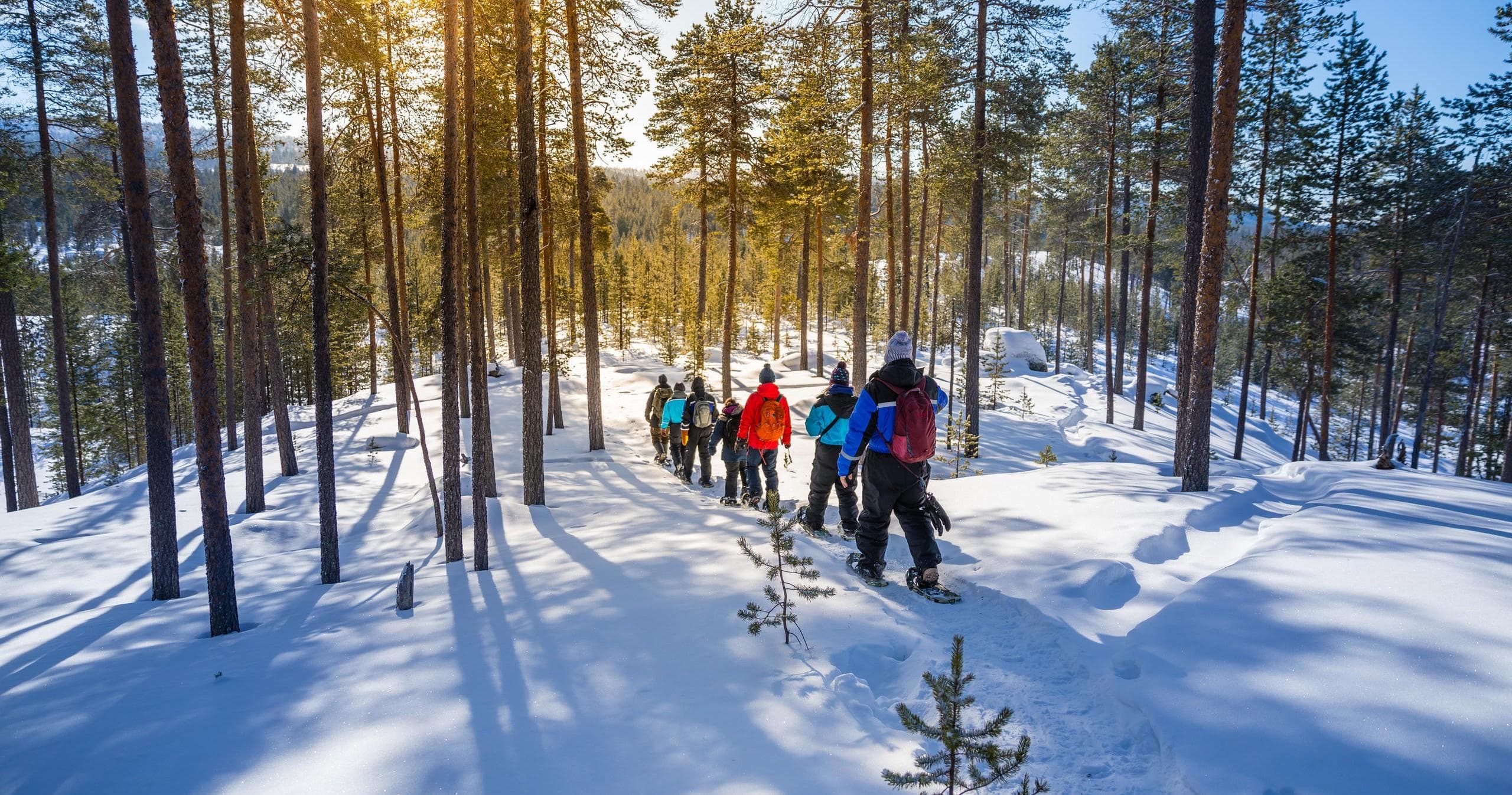 Winter Snowshoeing at Wilderness Hotel Inari