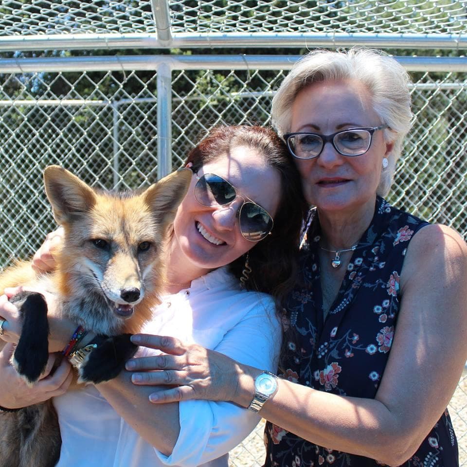 Private Interactive Canid Encounters in Santa Ysabel, CA