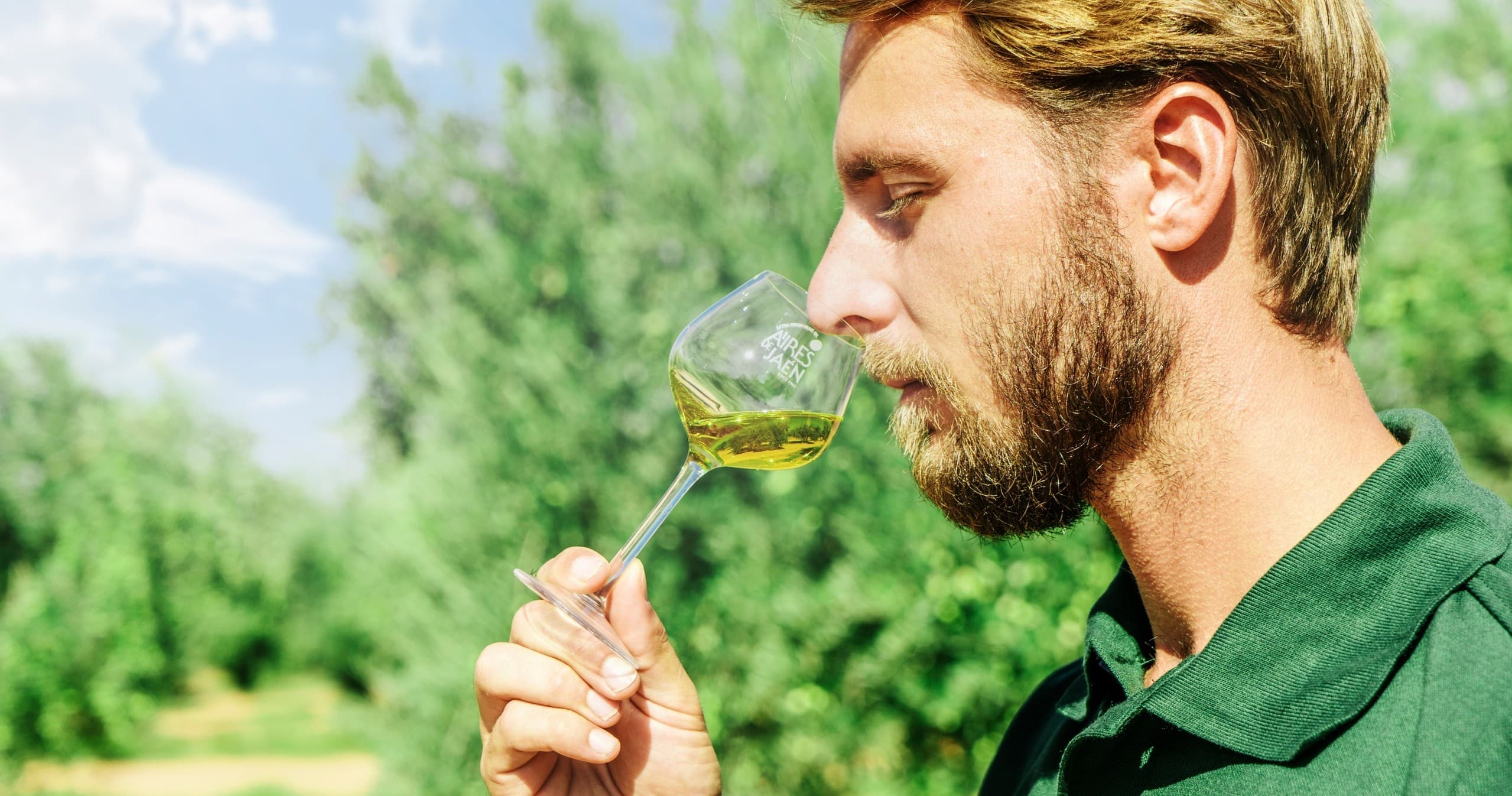 Olive Oil Tasting with Aires de Jaén in Andalucía