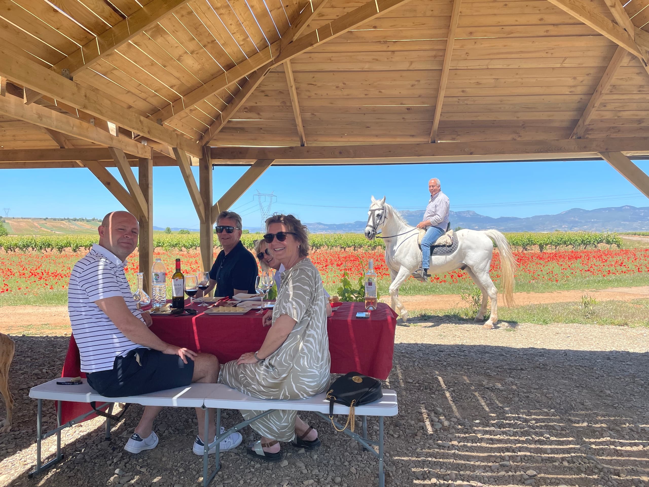 Rioja Wine Tour & Picnic from Bilbao with Northern Spain Gastronomy