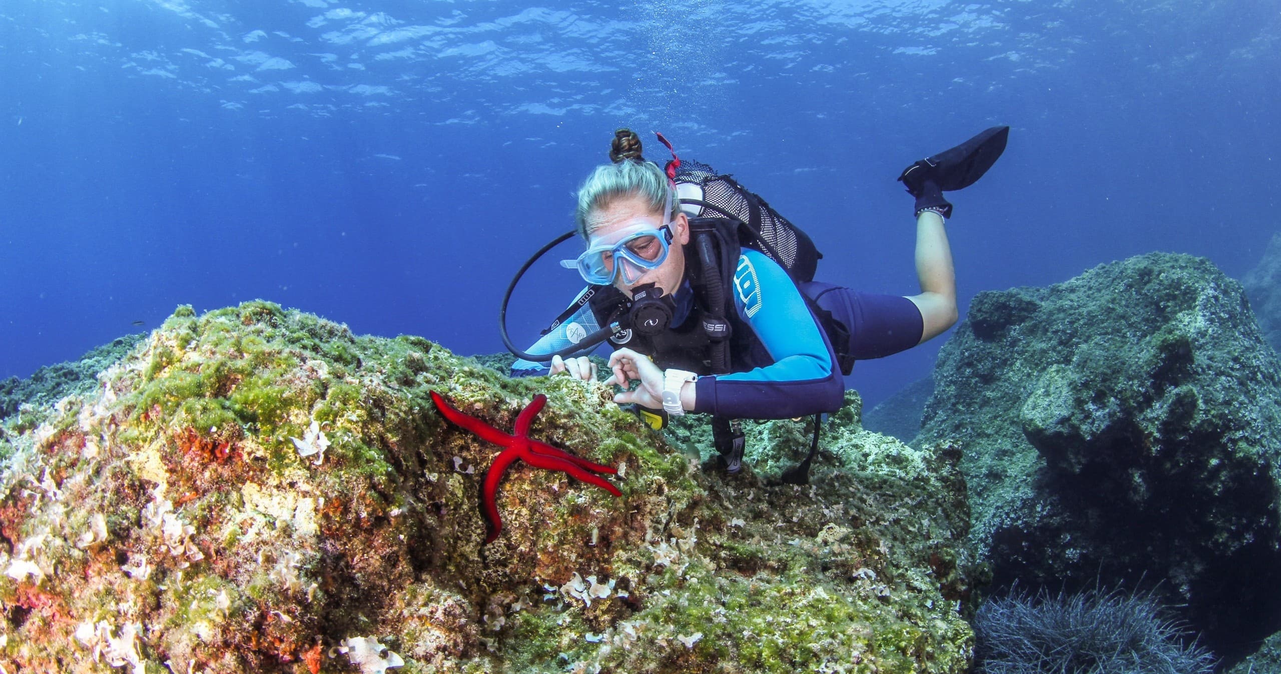 Scuba diver photographing a red starfish on coral reef