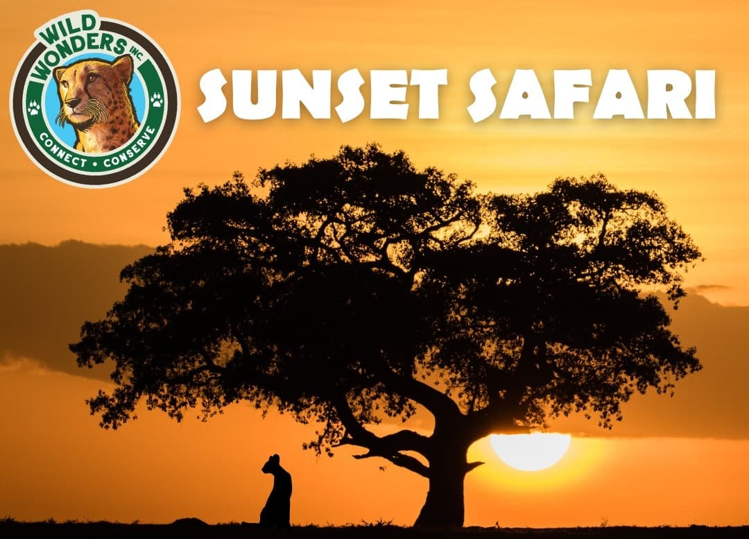 Sunset Safari Experience in Bonsall, California