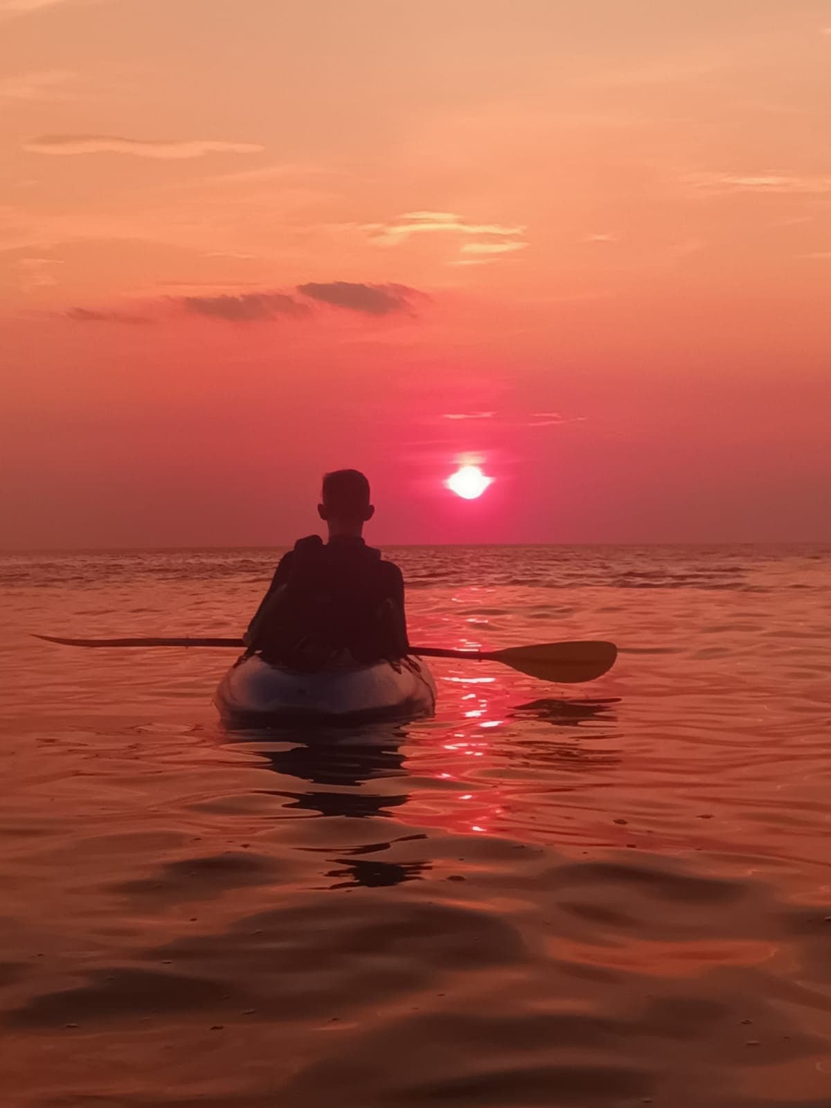 Phospherance Night Kayak: Bioluminescent Tours on Sheephaven Bay from Downings Pier photo 2