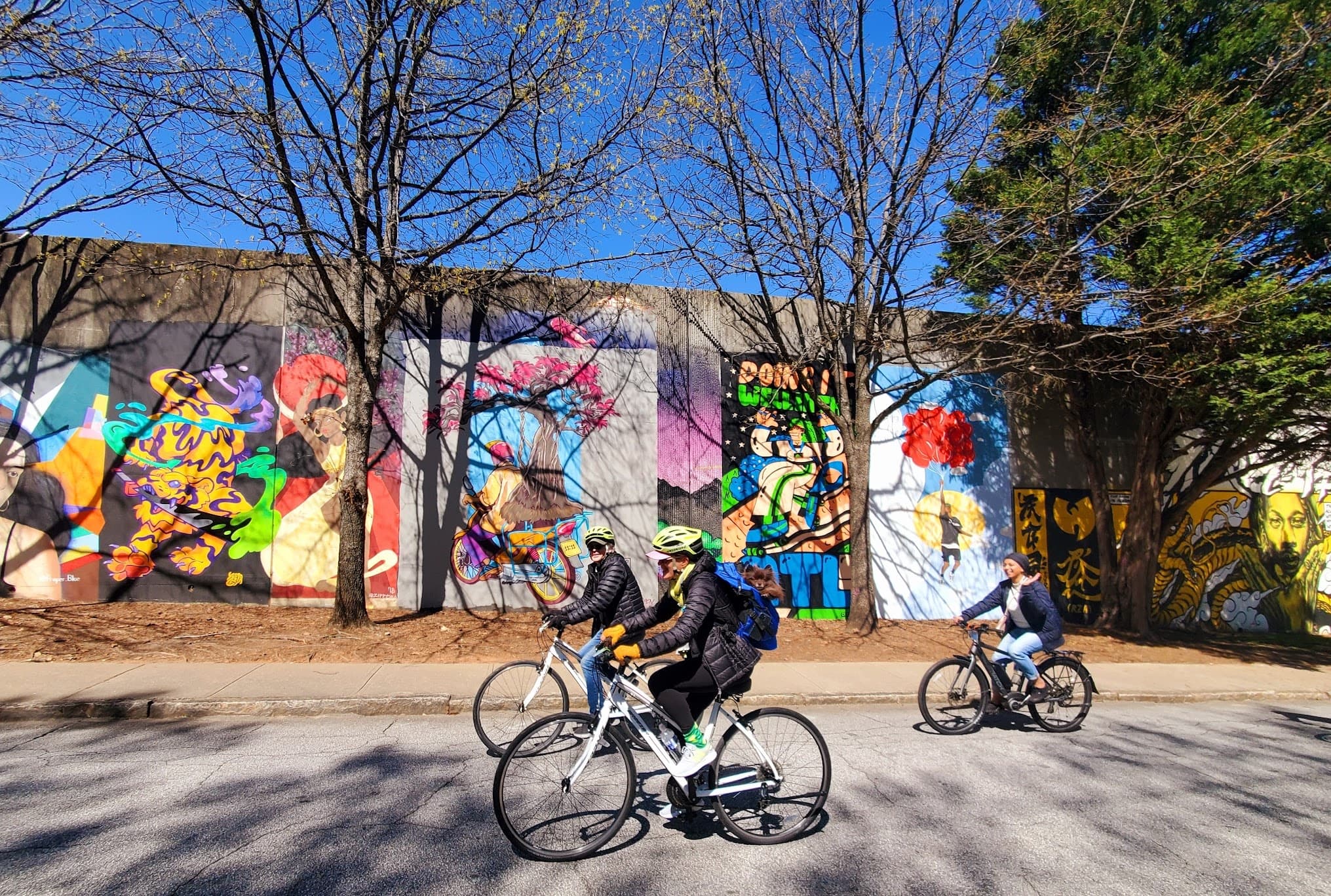 Explore Atlanta's Street Art on a Guided Bike Tour