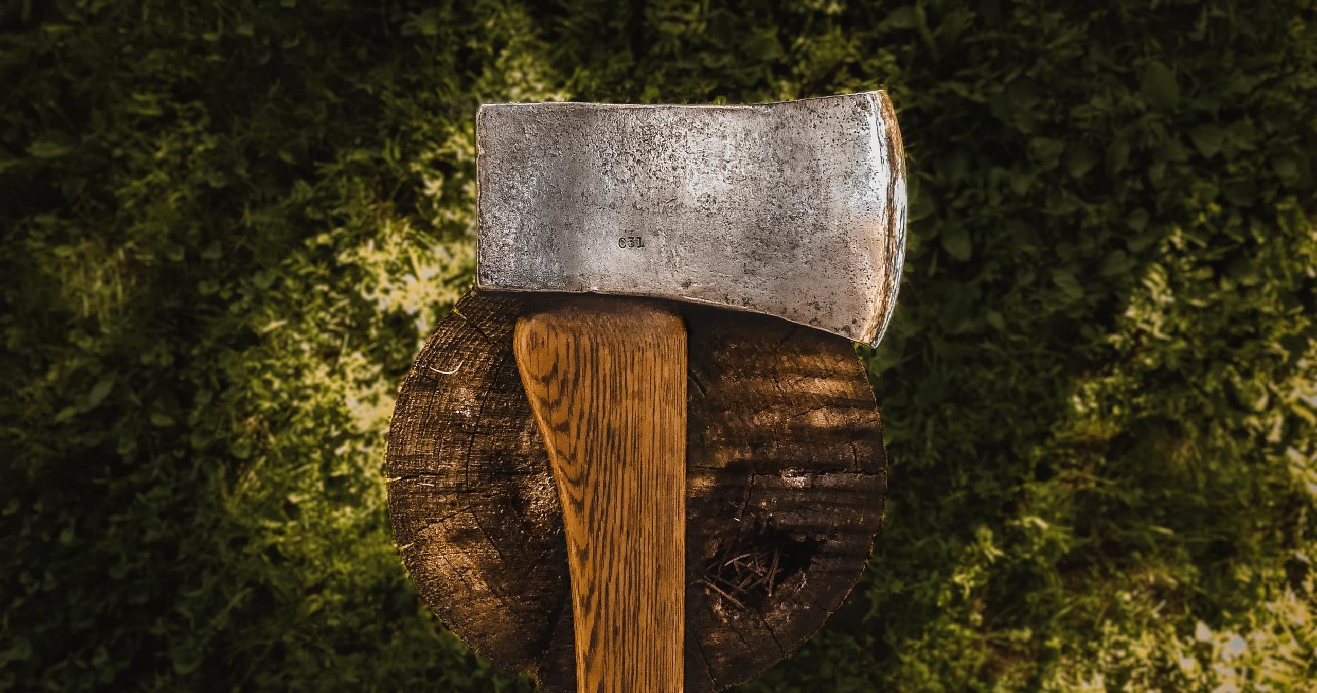 Land Adventures at Palmetto Axes: Axe Throwing Fun