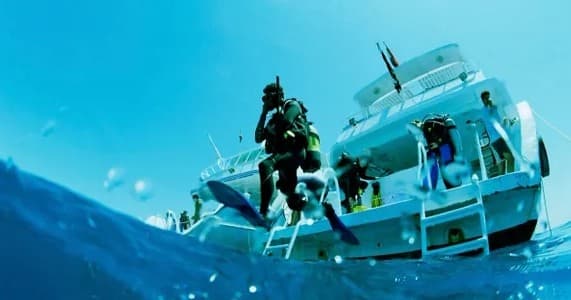 Scuba Diving Adventures in Delray Beach, Florida