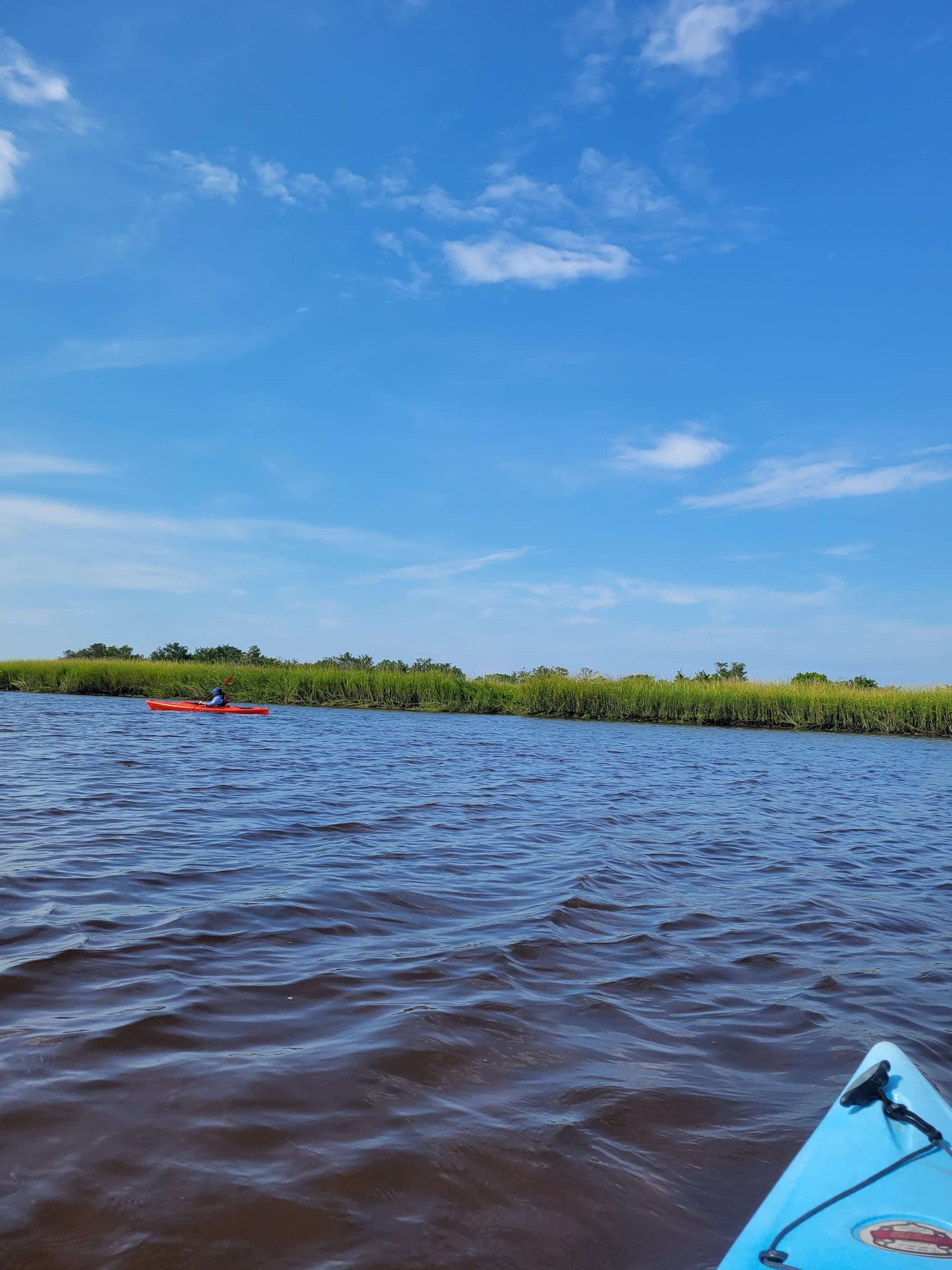 Explore Shark’s Tooth Island: A Kayaking Adventure to Discover Fossils and Wildlife Near Wilmington, NC