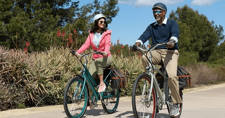 Pedego Element Fat Tire Electric Bike Rental