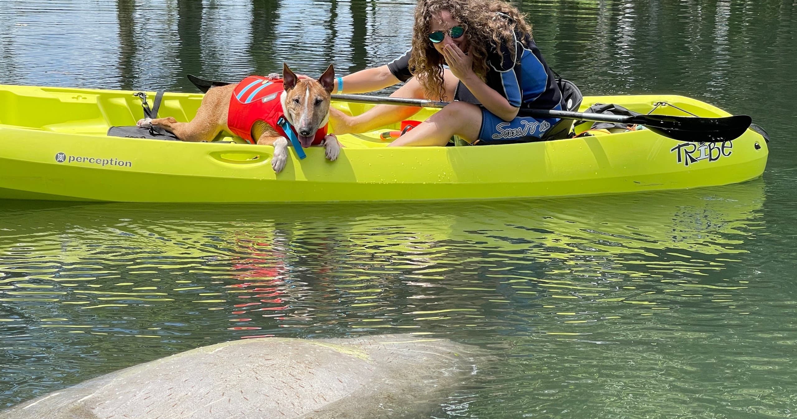 Kayak Manatee Swim with Hunter Springs Kayak in Crystal River