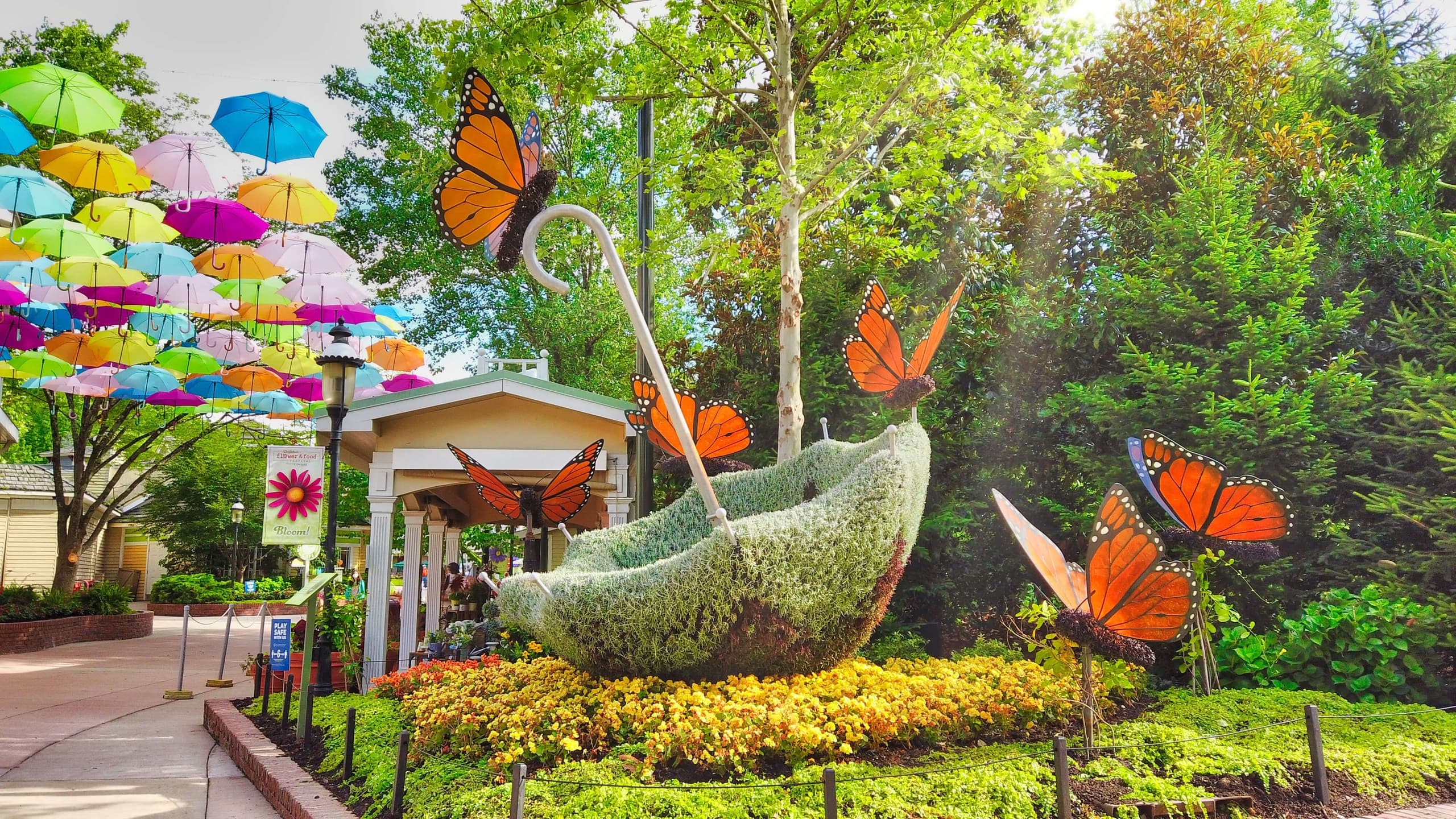 Outdoor Adventure: Dollywood Day Trip from Nashville