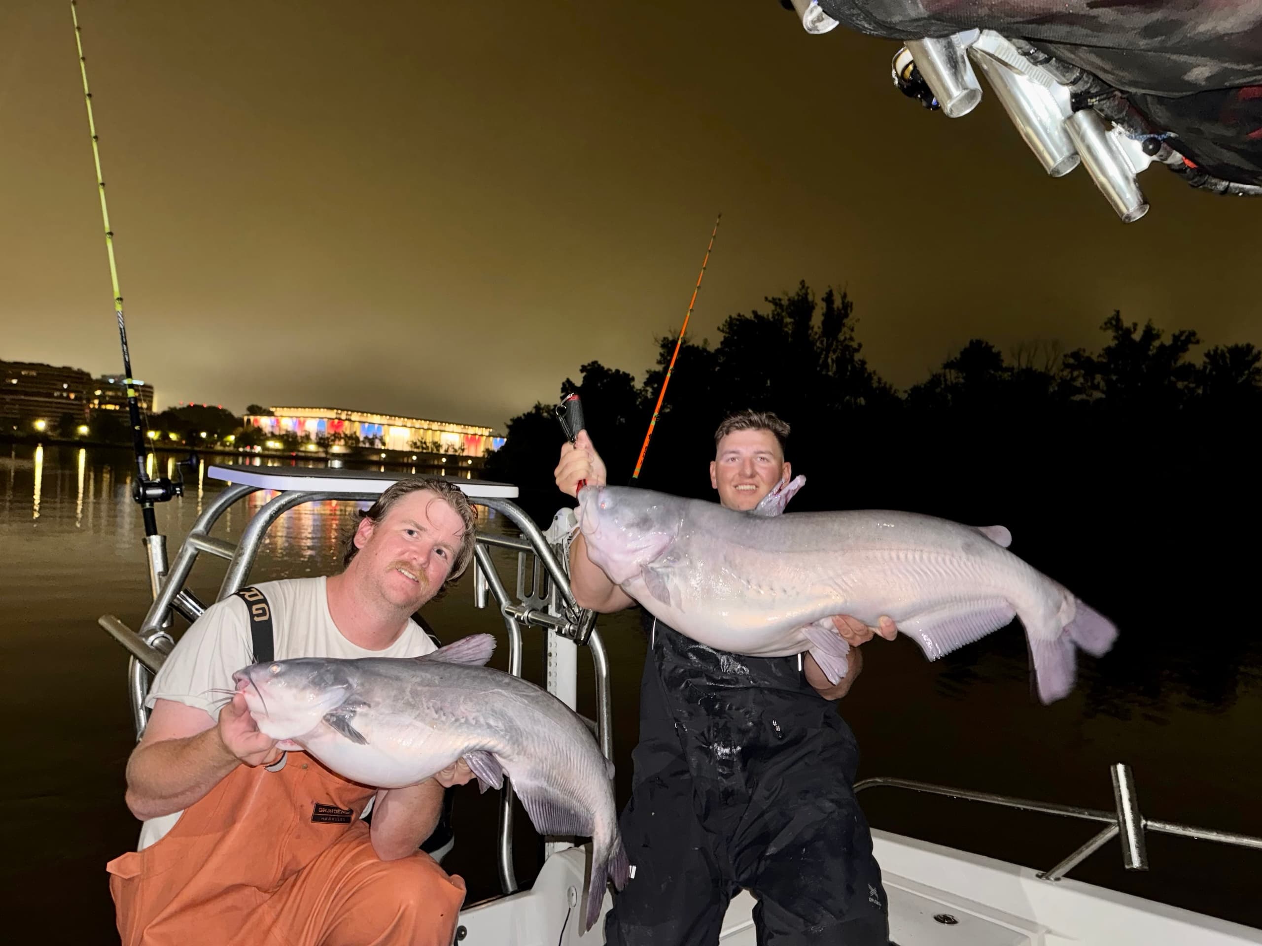 Anglers holding large catfish on boat at night fishing trip