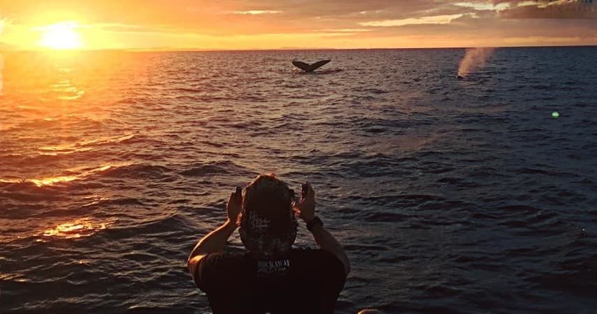 Whale watching at sunset with photographer aboard boat in Rincon