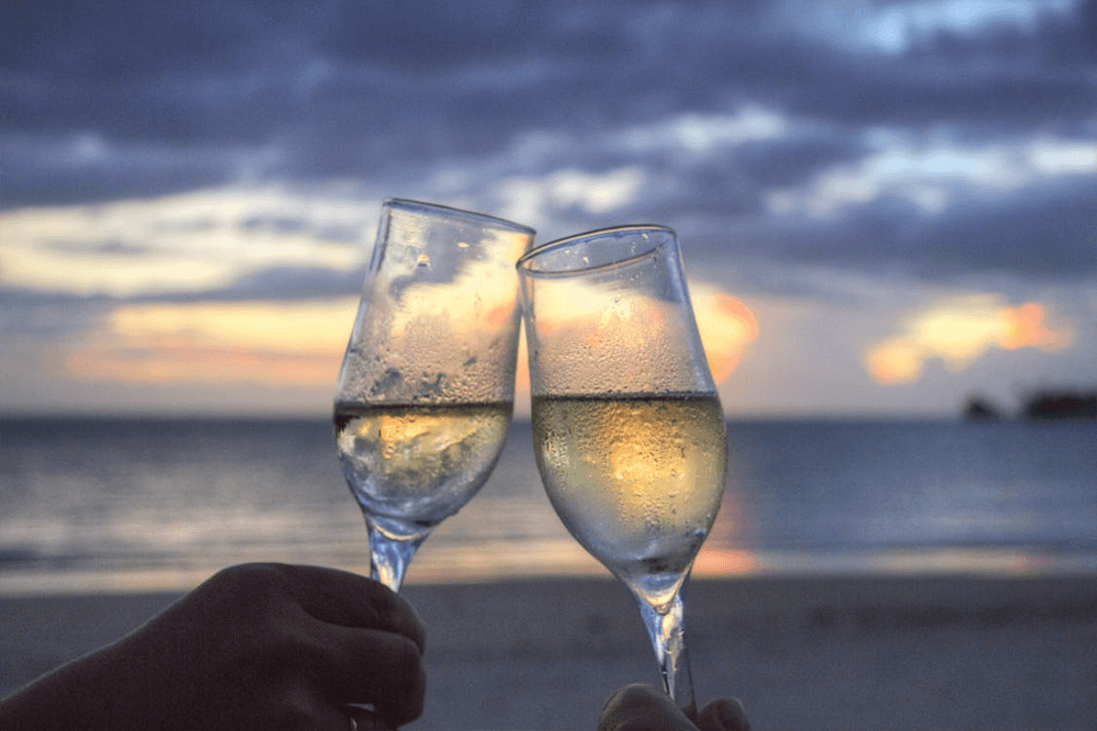 Seas the Celebration Tour: Experience a Festive Gulf Cruise in Naples, Florida
