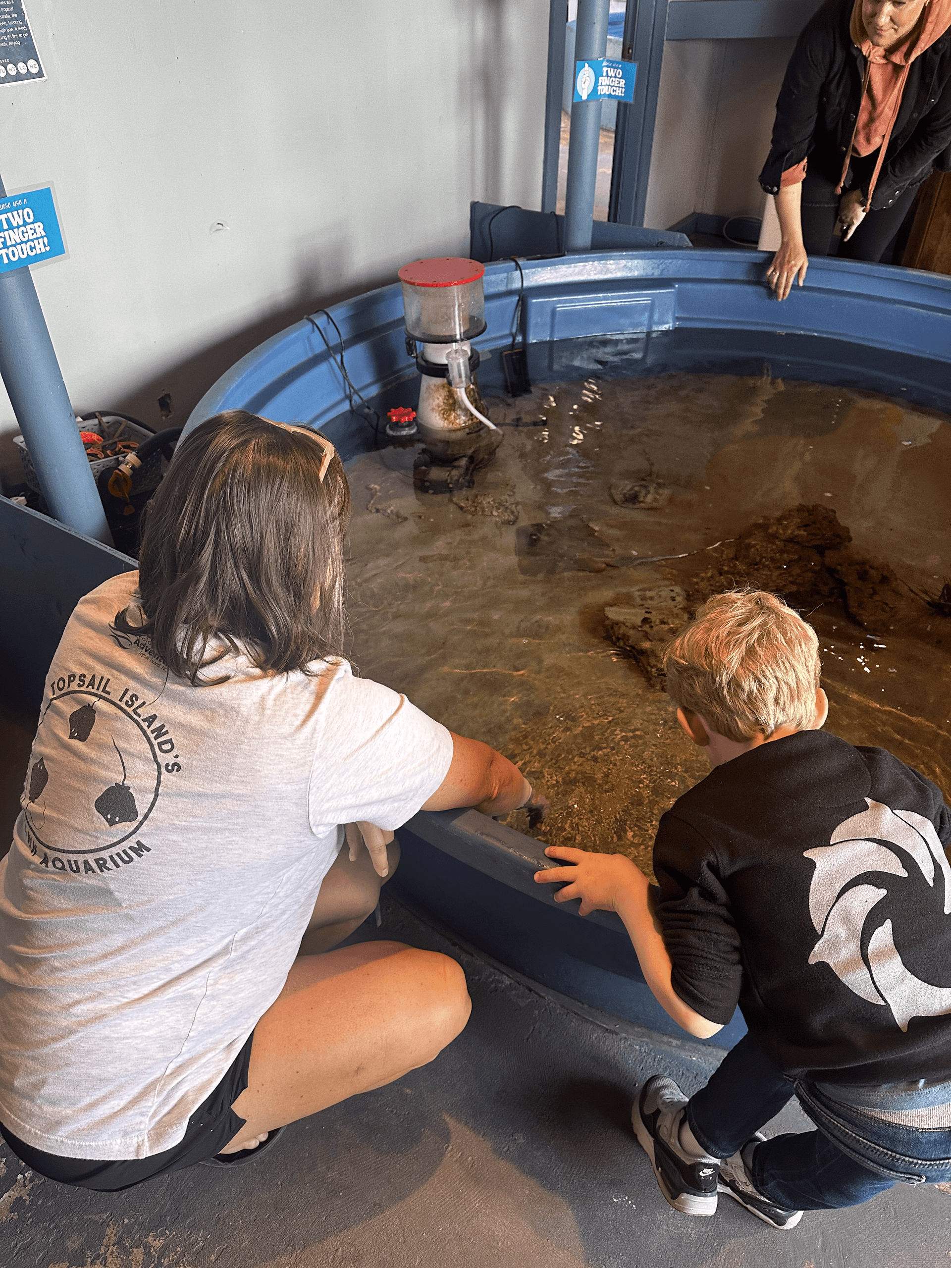 Water Activities at Topsail Aquarium: Stingray Snack Time Adventure
