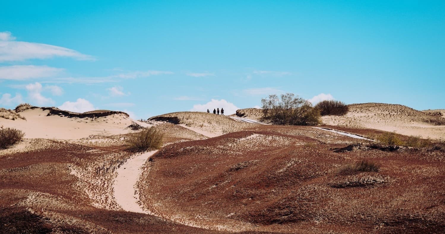 Cyclists traversing coastal sand dunes with winding trail