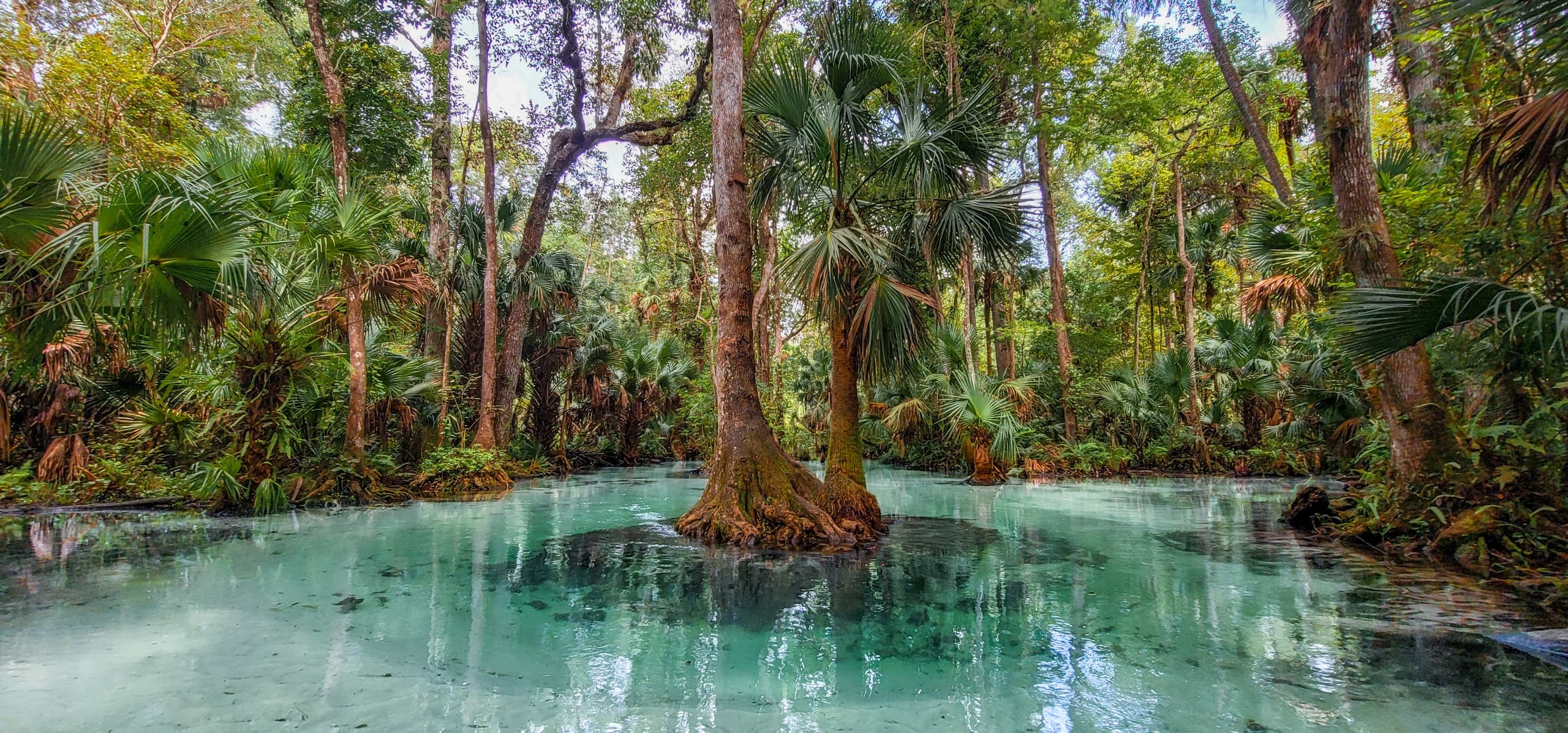 Emerald Cut Kayak Adventure
