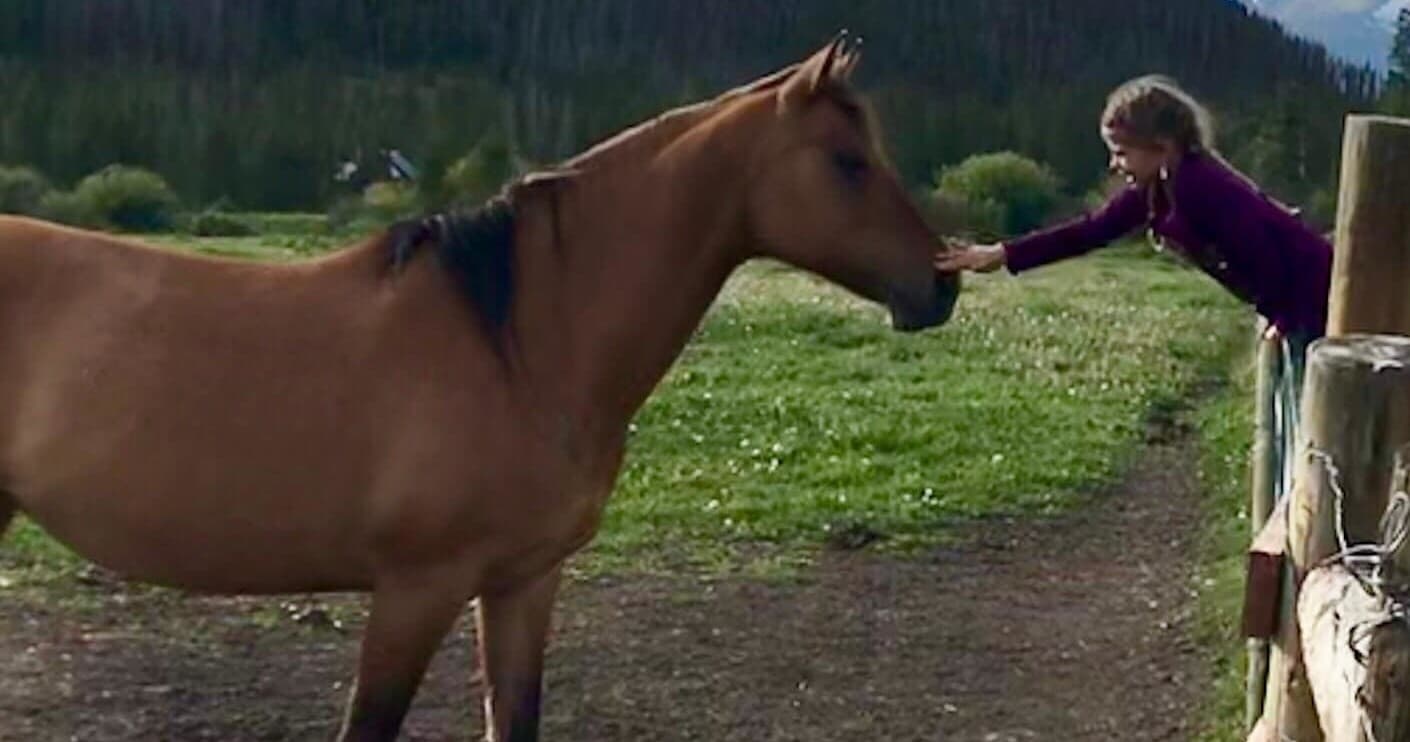 Pony Rides Adventure in Grand Lake, Colorado