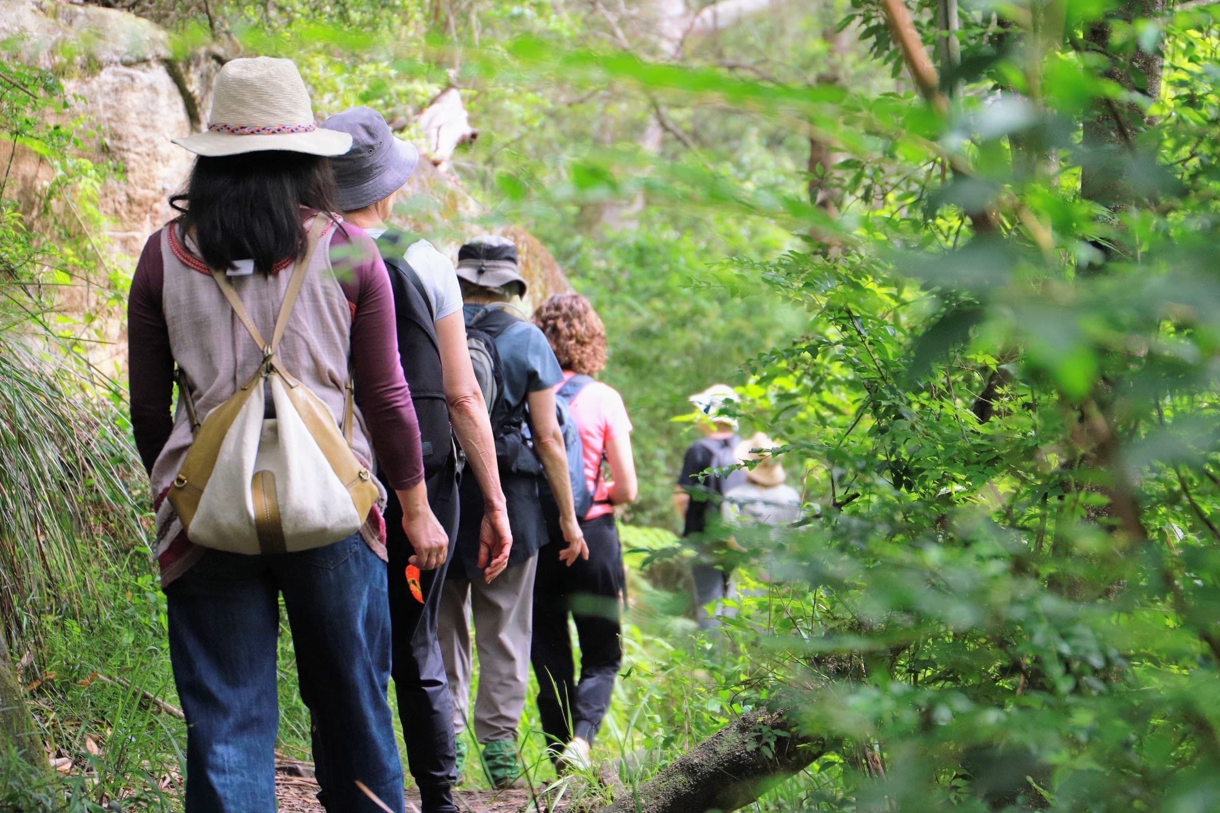 Forest Bathing Walk at Lane Cove with Forest Minds