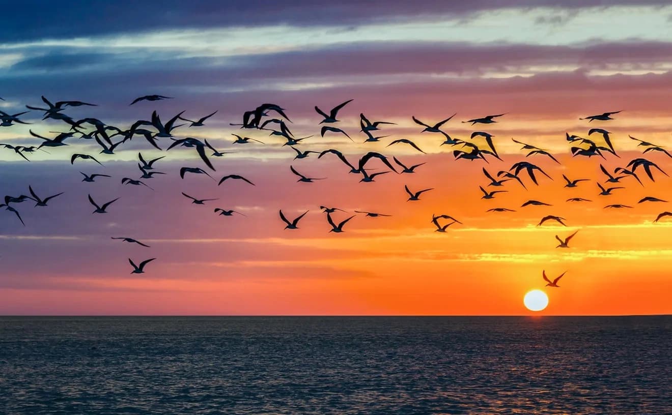 Sunset Cruise