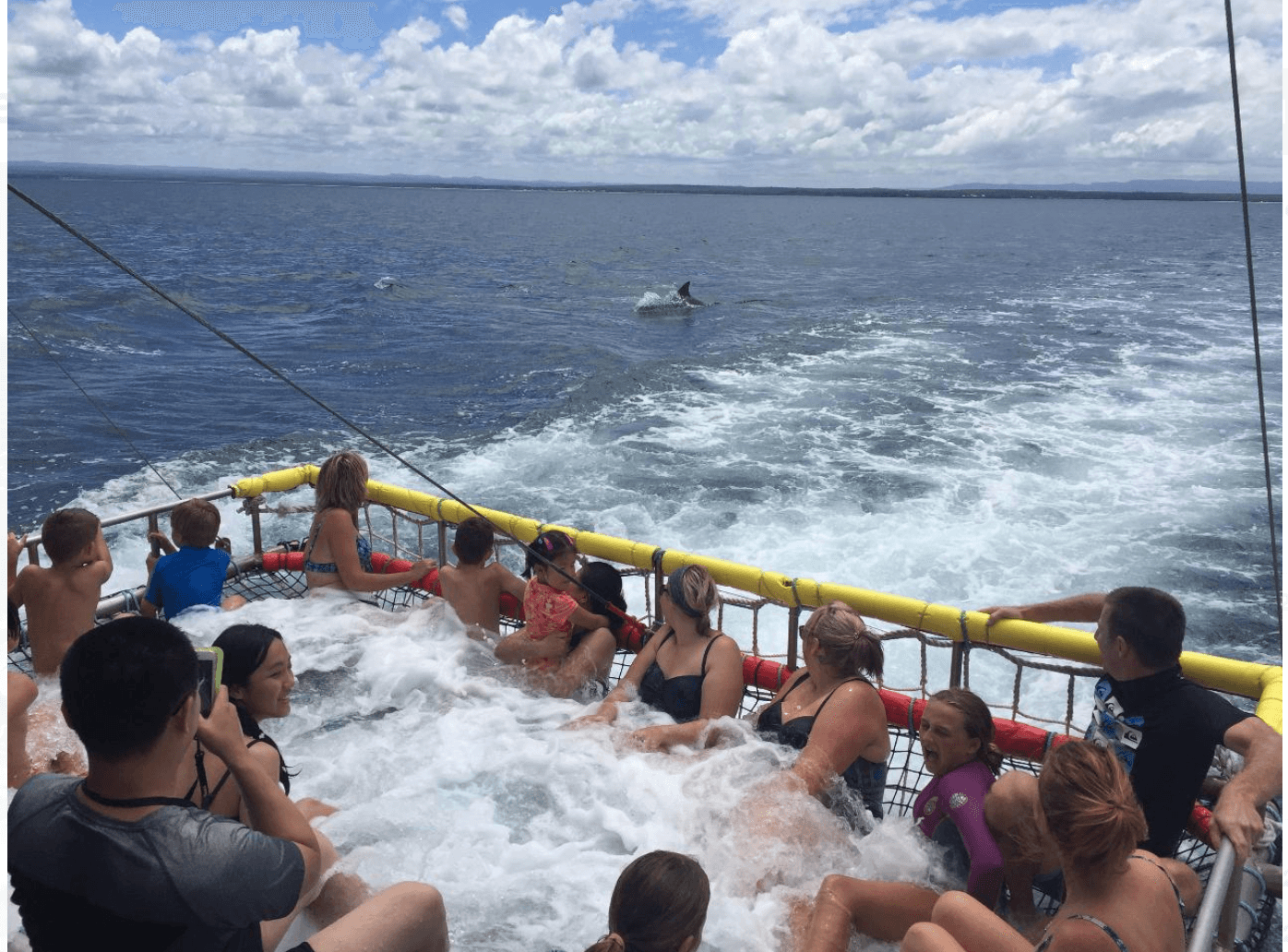 Summer Boom-Netting Fun with Jervis Bay Wild Ltd