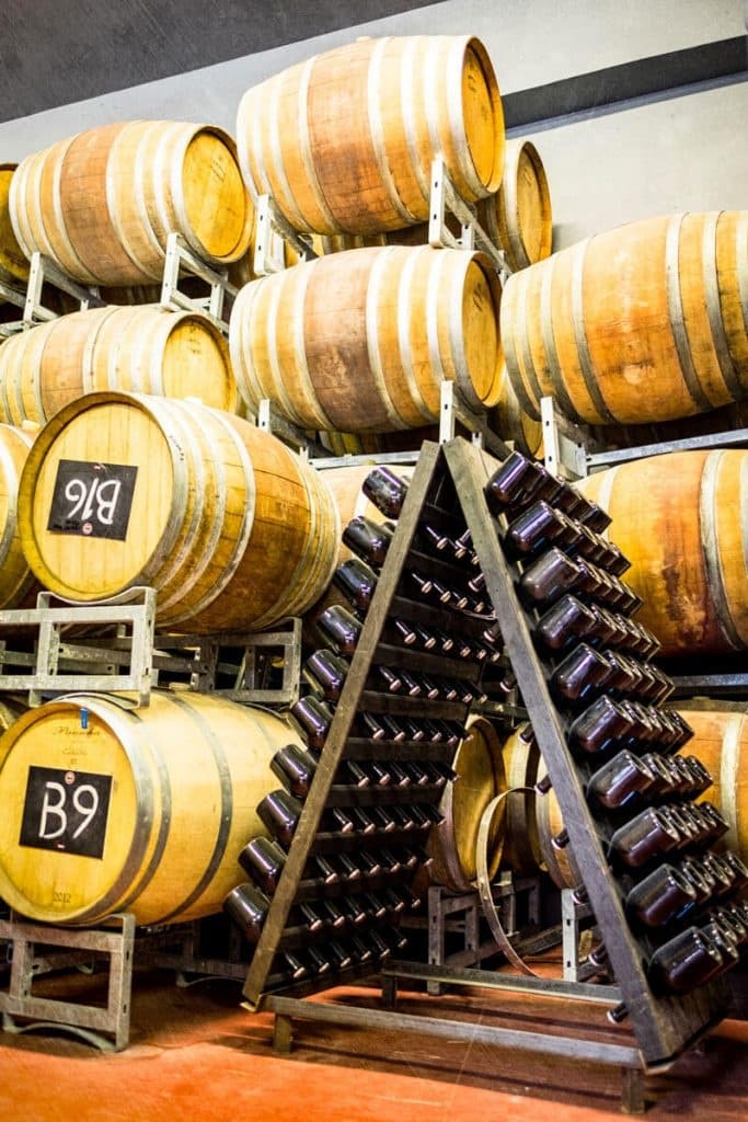 Brewing & Beer Tasting at Brew Tour del Borgo in Italy