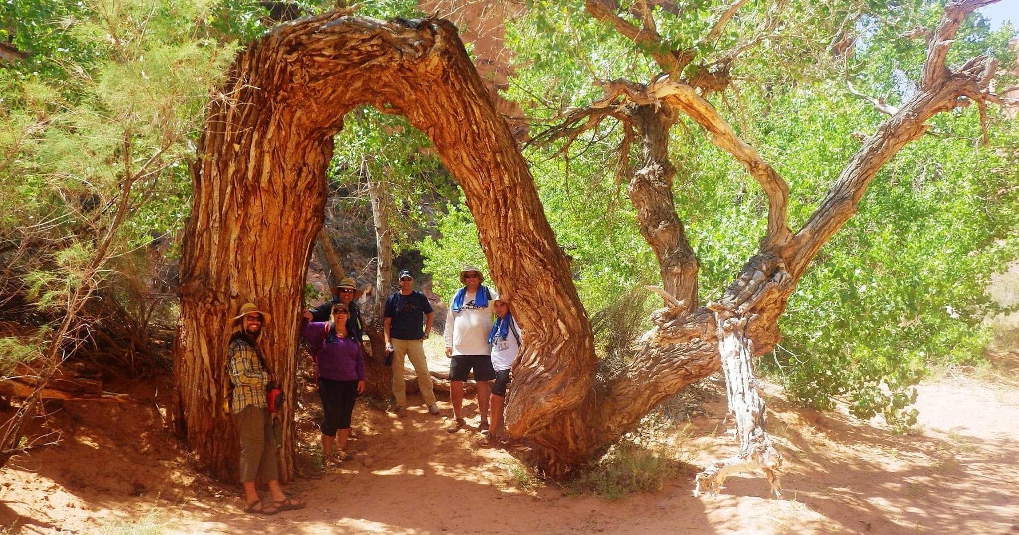 Labyrinth Canyon Multi-Day SUP Adventure in Moab, Utah
