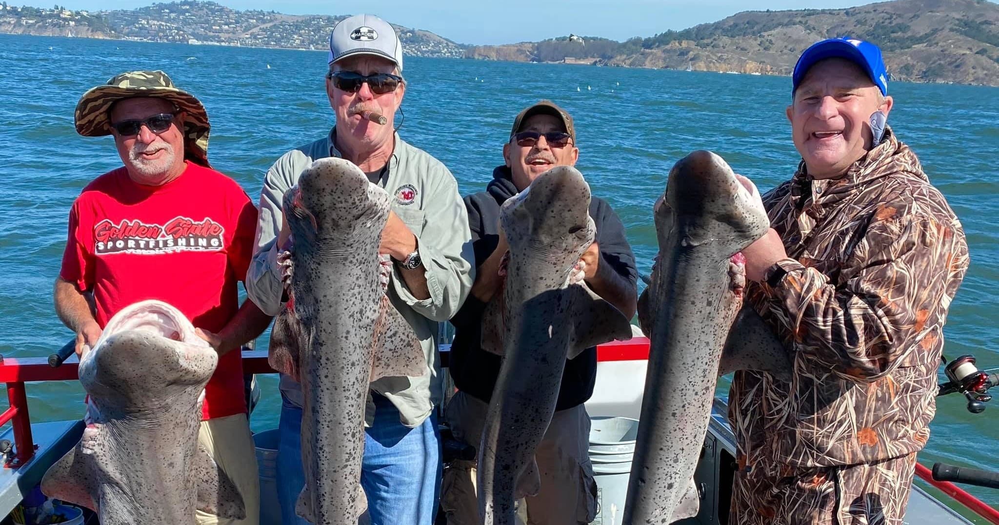 Experience the Thrill of Bay Shark Fishing on a Private Charter in Tracy, California