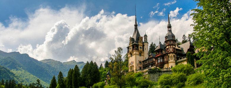 Peles Castle & Wine Tour with TravelMaker in Romania