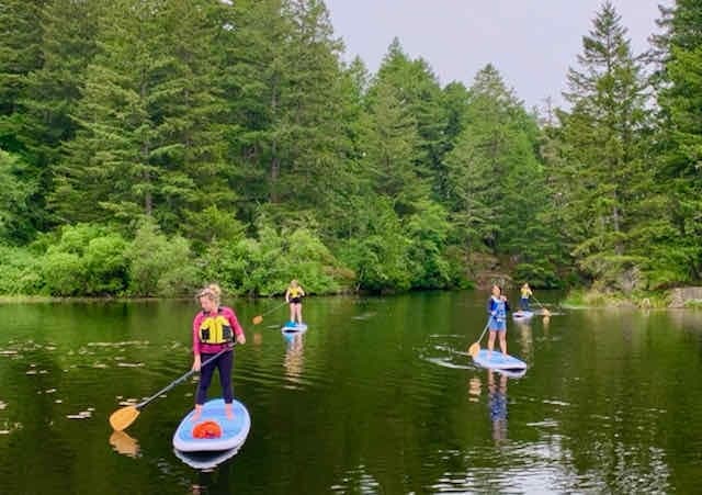 Paddle Boarding Basics in Victoria, BC