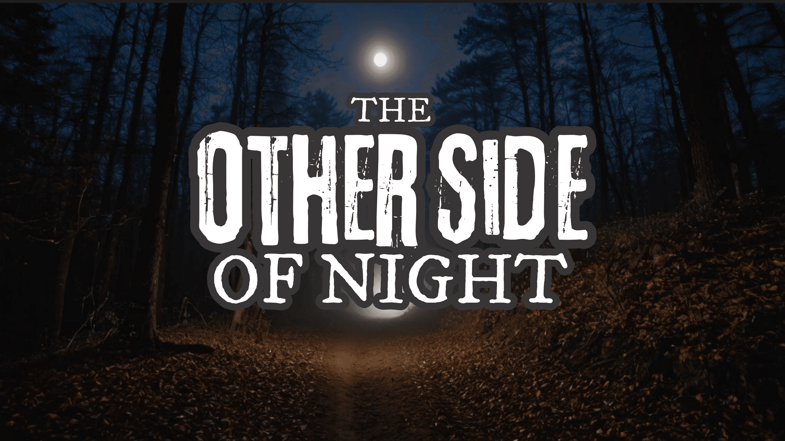 Explore Haunted St. Augustine on The Other Side of Night Paranormal Van Adventure