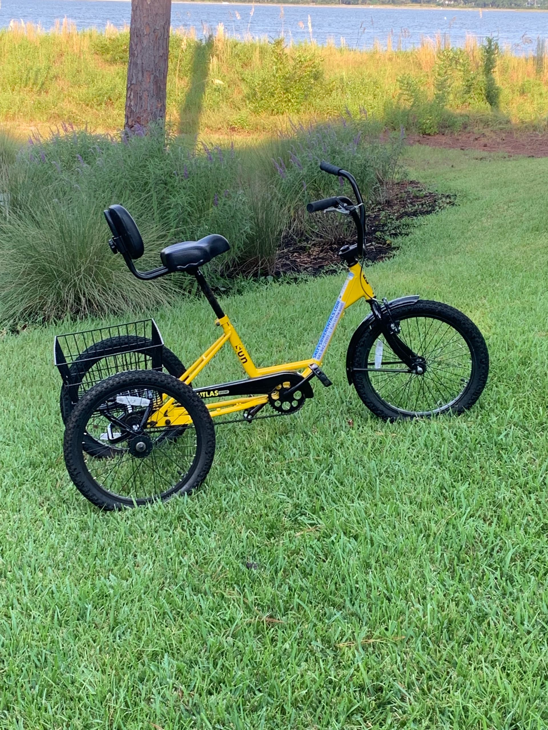 Explore Hilton Head Island on an Adult Trike: Unique Three-Wheel Adventure for Scenic Freedom