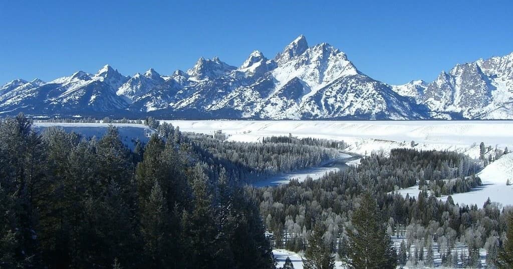 Experience a Winter Wildlife Safari in Grand Teton National Park